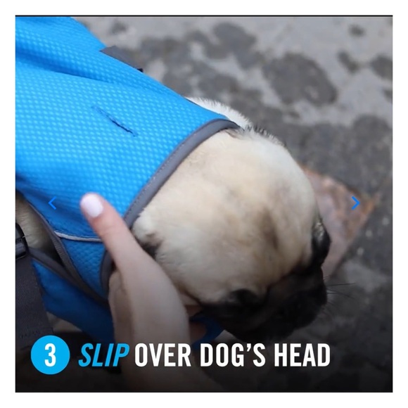 Canada Pooch Chill Seeker Cooling Vest - Tie-dye - Size 20 - Picture 15 of 16